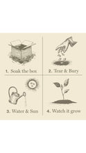 Load image into Gallery viewer, Plant the Box- Mint