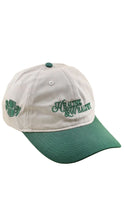 Load image into Gallery viewer, Healthy/Wealthy Dad Hat