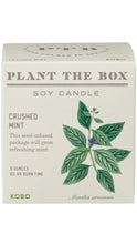 Load image into Gallery viewer, Plant the Box- Mint