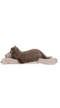 Load image into Gallery viewer, Ulrich Wolf Plush