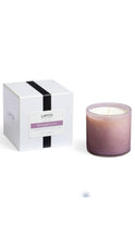 Load image into Gallery viewer, Lafco Midnight Cactus Signature Candle