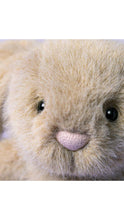 Load image into Gallery viewer, Oat Flufflet Bunny Plush