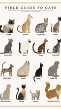 Load image into Gallery viewer, Tube Puzzle- Cats