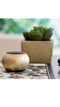 Load image into Gallery viewer, Matte Gold Mini Speaker