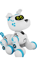 Load image into Gallery viewer, Crazy Pet Buddy Bot