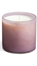 Load image into Gallery viewer, Lafco Midnight Cactus Signature Candle