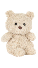 Load image into Gallery viewer, Bartholomew Bear Junior Plush