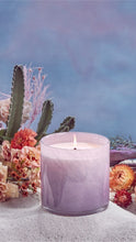 Load image into Gallery viewer, Lafco Midnight Cactus Signature Candle