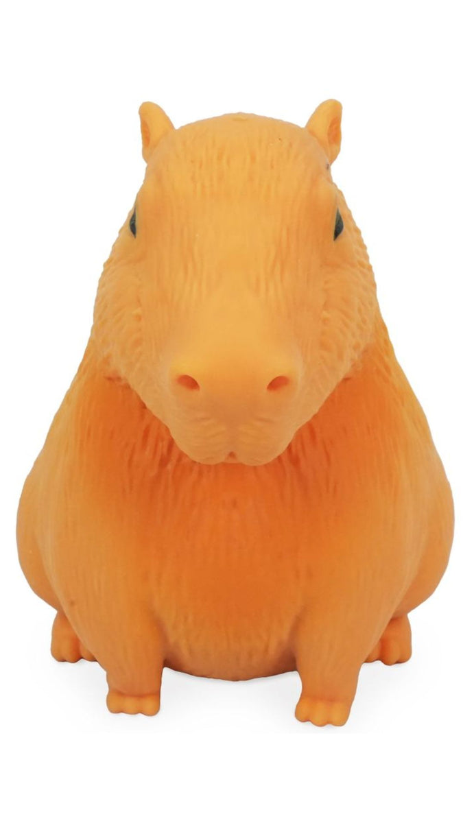 Stretch 'N Smash Capybara – Wish Gifts