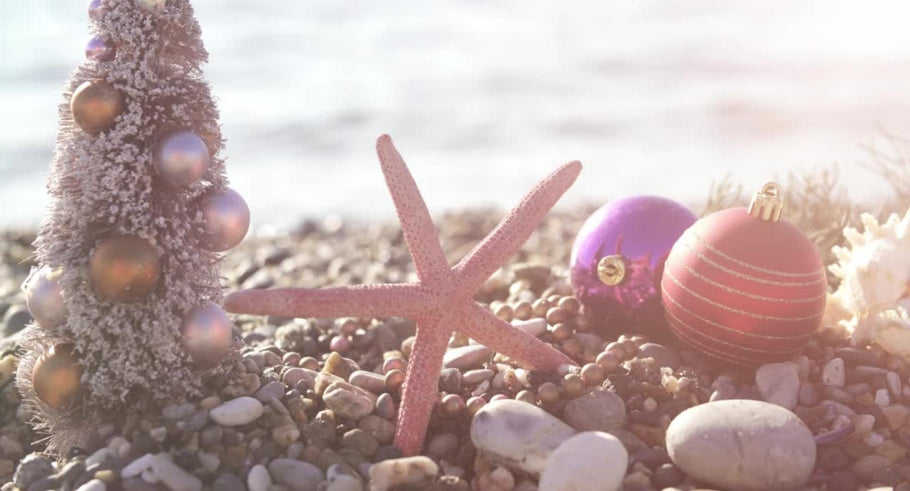 Dreaming of a Sandy Holiday