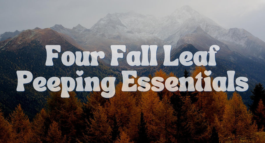 Four Fall Leaf Peeping Essentials 🍂🍁