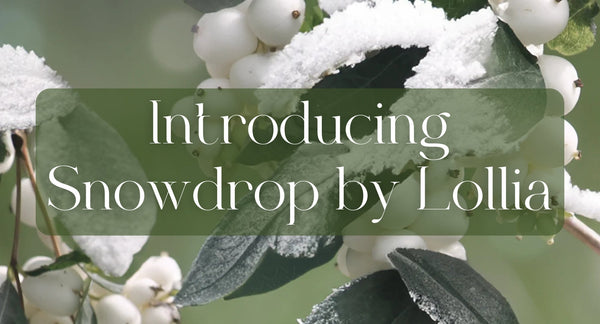 Introducing Snowdrop by Lollia