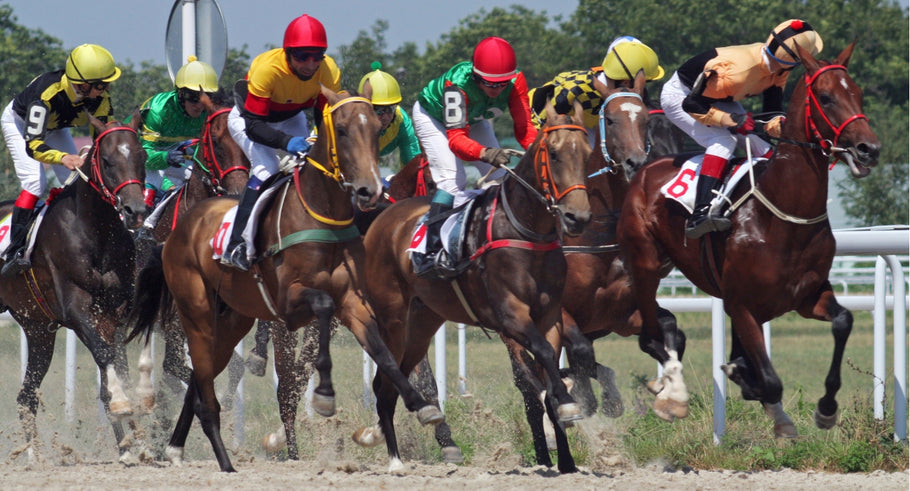 Talk Derby to Me