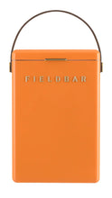 Load image into Gallery viewer, Drink Box- Orchard Orange
