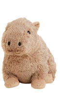 Load image into Gallery viewer, Capybara Warmies
