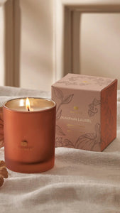 6.5oz Boxed Pumpkin Laurel Candle