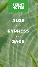 Load image into Gallery viewer, Cool Fresh Aloe Deodorant
