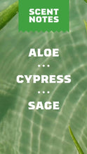 Load image into Gallery viewer, Cool Fresh Aloe Bar Soap
