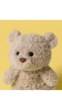 Load image into Gallery viewer, Bartholomew Bear Junior Plush
