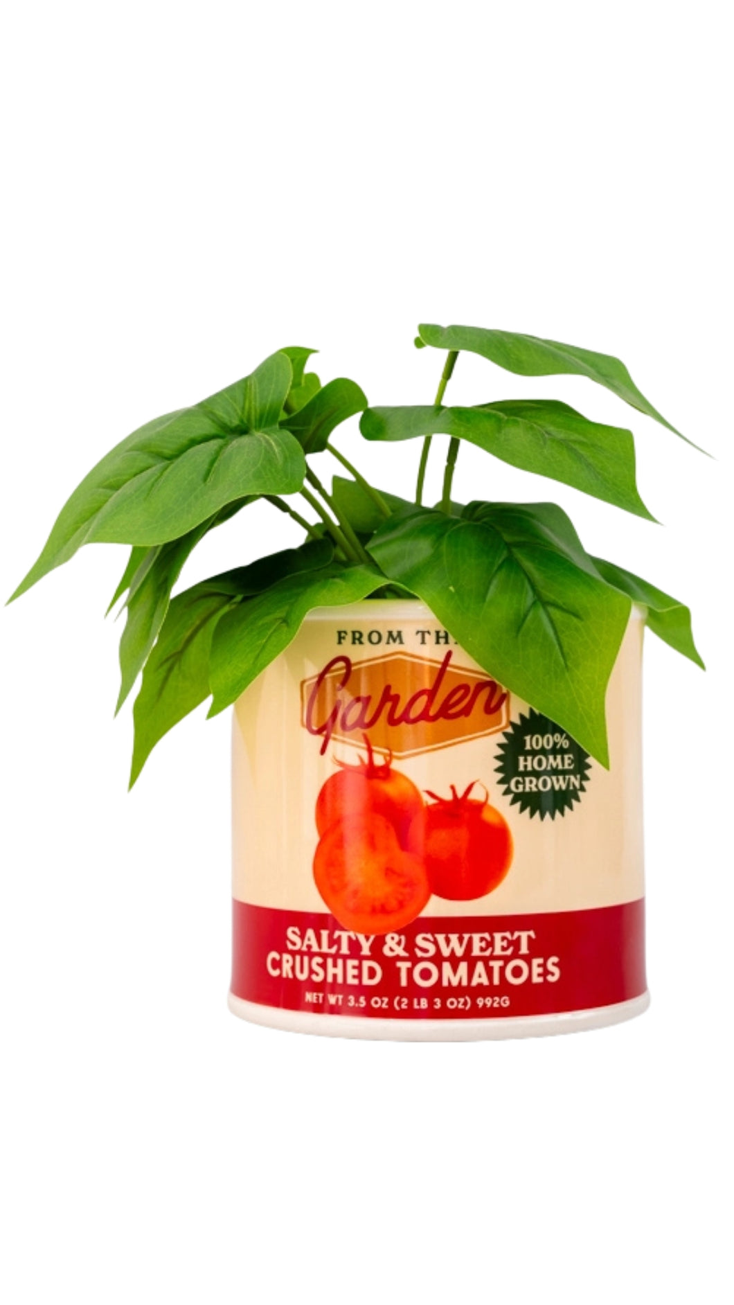 Tomato Can Vase
