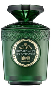 8.5oz Bewitching Banyan Forest Box Candle