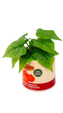 Load image into Gallery viewer, Tomato Can Vase
