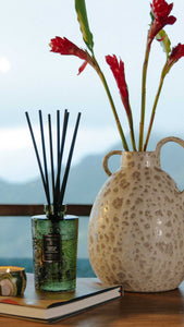 500ml Reed Diffuser - Temple Moss