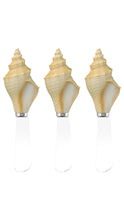 Load image into Gallery viewer, Three seashell-shaped cheese knives with clear plastic handles, arranged side by side on a white background.
