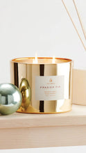 Load image into Gallery viewer, Frasier Fir Gilded 3-Wick Gold
