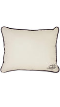 Load image into Gallery viewer, Boulder Collegiate Pillow
