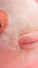 Load image into Gallery viewer, Fancy Carp Plush
