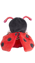 Load image into Gallery viewer, A plush ladybug toy shown from the back, featuring a black head, pink antennae, red wings with black spots, and a striped body, isolated on a white background.
