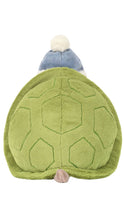 Load image into Gallery viewer, Timmy Turtle Skating Plush
