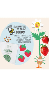 Paint & Grow Strawberry