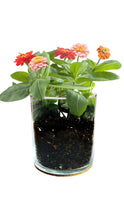 Load image into Gallery viewer, Mom Flower Garden
