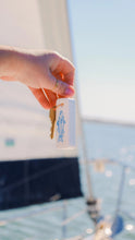 Load image into Gallery viewer, Fish Floating Keychain
