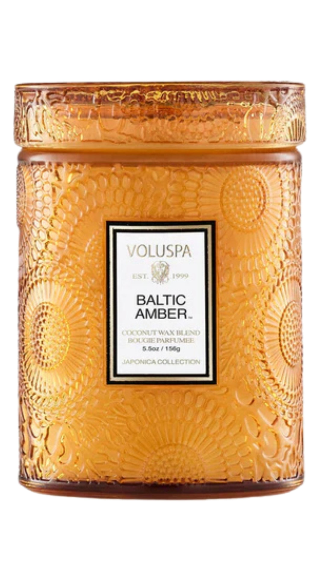 Baltic Amber Small Jar