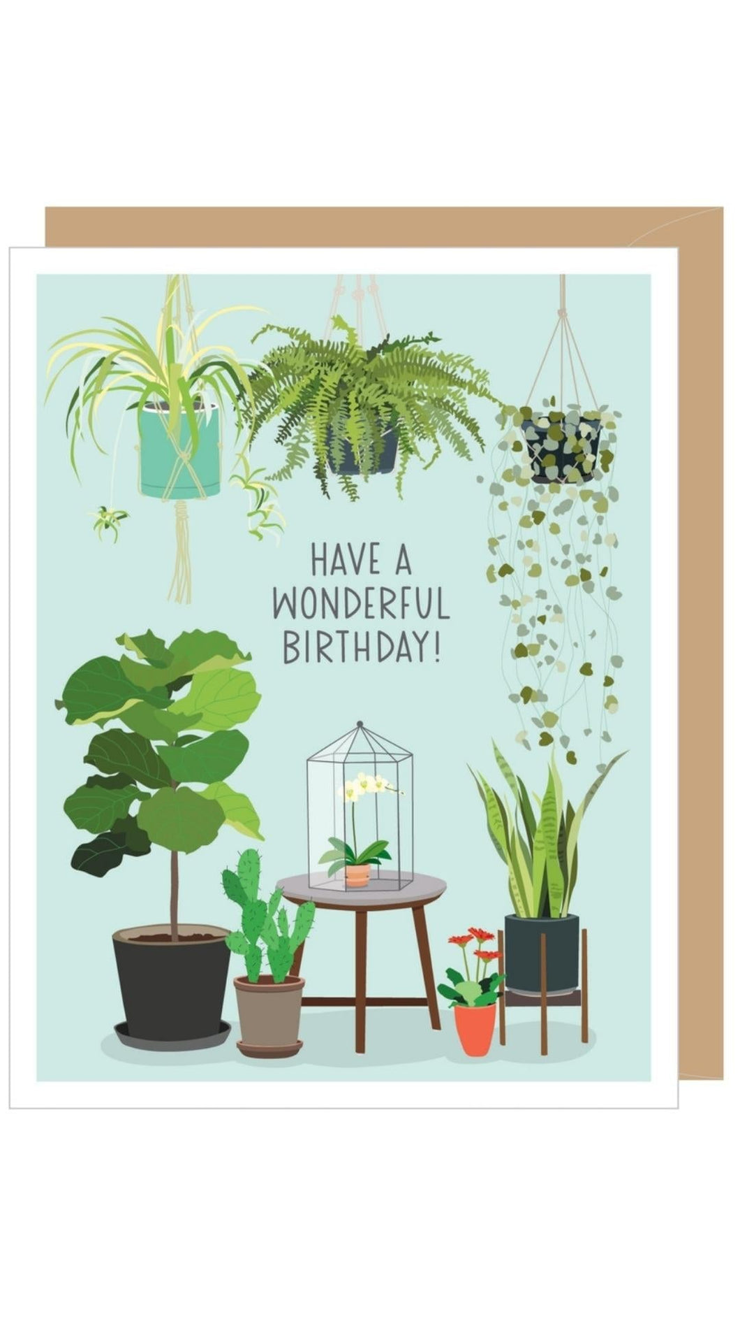 Have a Wonderful Birthday! Potted Houseplants Card